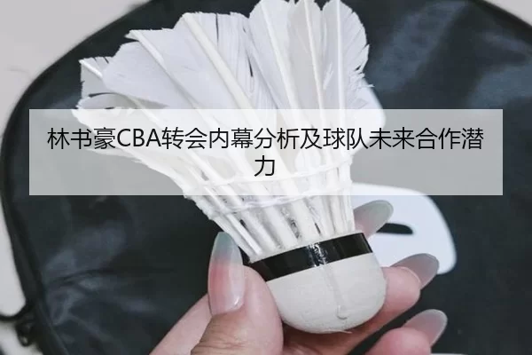 林书豪CBA转会内幕分析及球队未来合作潜力