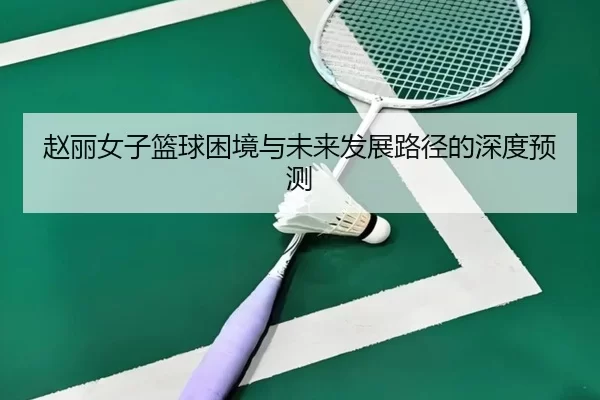 赵丽女子篮球困境与未来发展路径的深度预测